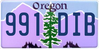 OR license plate 991DIB