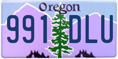 OR license plate 991DLU