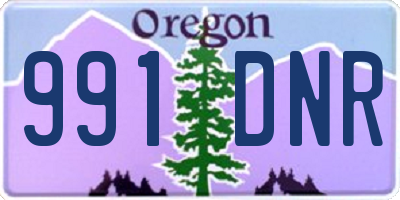 OR license plate 991DNR