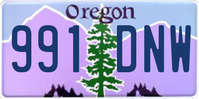 OR license plate 991DNW