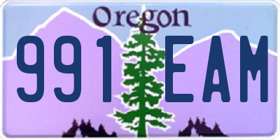 OR license plate 991EAM