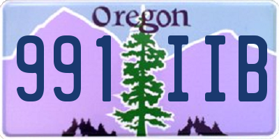 OR license plate 991IIB