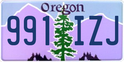 OR license plate 991IZJ