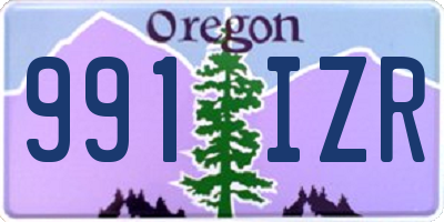 OR license plate 991IZR