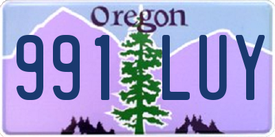 OR license plate 991LUY