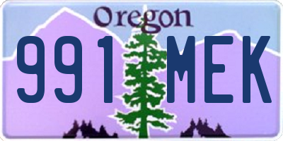 OR license plate 991MEK