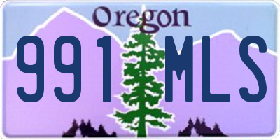 OR license plate 991MLS