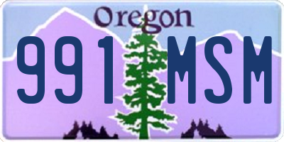 OR license plate 991MSM