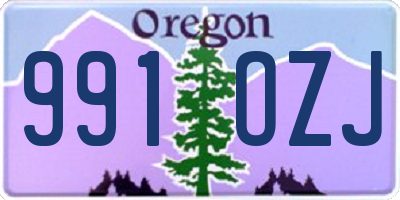 OR license plate 991OZJ