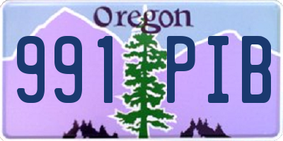 OR license plate 991PIB