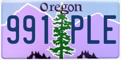 OR license plate 991PLE