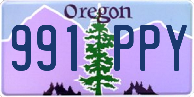 OR license plate 991PPY