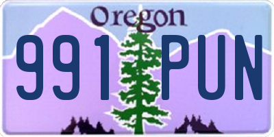 OR license plate 991PUN