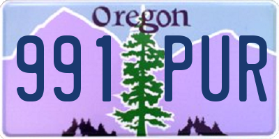 OR license plate 991PUR