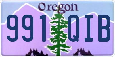 OR license plate 991QIB