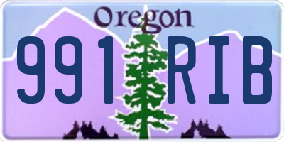 OR license plate 991RIB