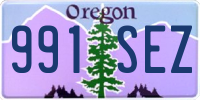 OR license plate 991SEZ