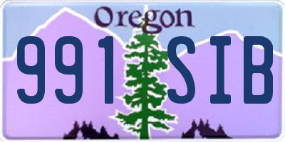 OR license plate 991SIB