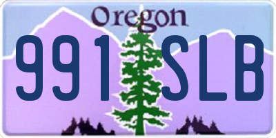 OR license plate 991SLB