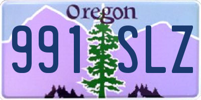 OR license plate 991SLZ