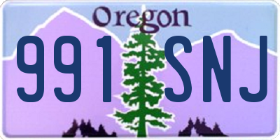 OR license plate 991SNJ