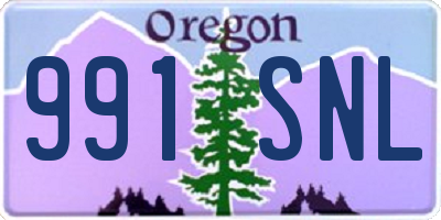 OR license plate 991SNL