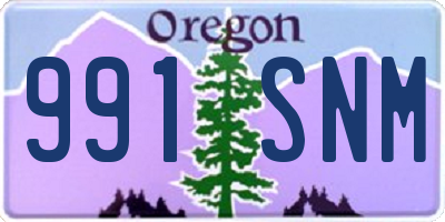 OR license plate 991SNM