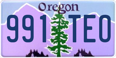 OR license plate 991TEO