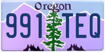 OR license plate 991TEQ