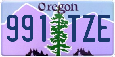 OR license plate 991TZE