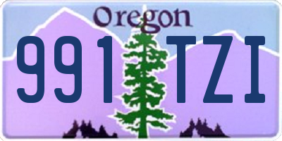 OR license plate 991TZI