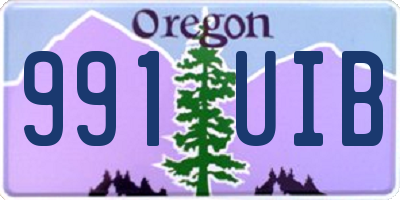 OR license plate 991UIB