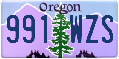 OR license plate 991WZS