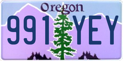 OR license plate 991YEY