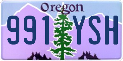 OR license plate 991YSH