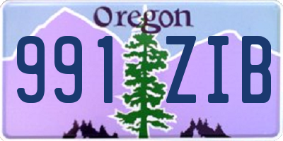 OR license plate 991ZIB