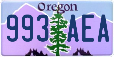 OR license plate 993AEA