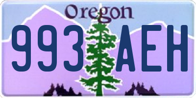 OR license plate 993AEH