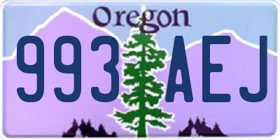 OR license plate 993AEJ