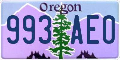 OR license plate 993AEO