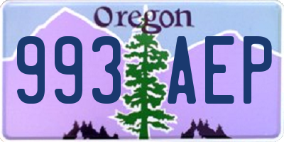 OR license plate 993AEP