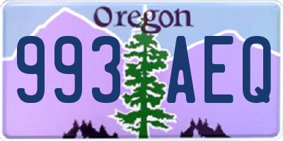 OR license plate 993AEQ