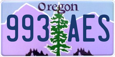 OR license plate 993AES