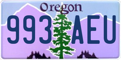 OR license plate 993AEU