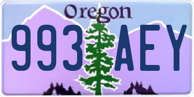 OR license plate 993AEY