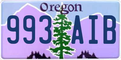 OR license plate 993AIB