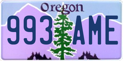 OR license plate 993AME