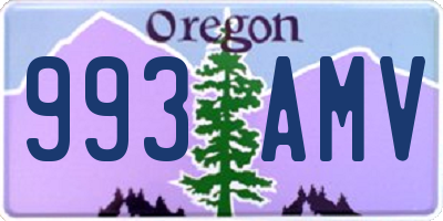 OR license plate 993AMV