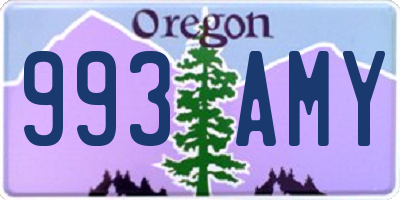 OR license plate 993AMY