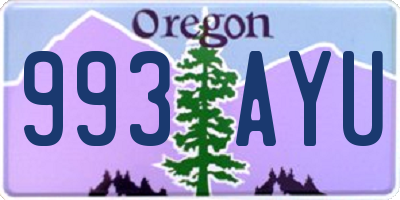 OR license plate 993AYU
